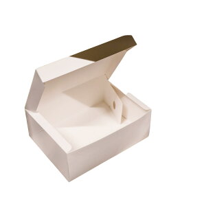 CP105-zCg 25 pbP[WV P[L