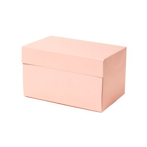 CP105sN 4×6 50 Ȃ P[LEȂ