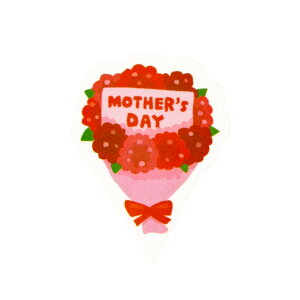 5323 YM-4 (P[LsbN) 500 ܂ق sbN