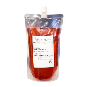 tbV̉ԃGLXVbv 500g RY 