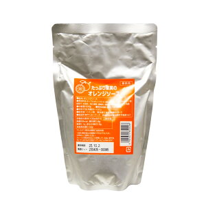 たっぷり果実のオレンジソース 500g ソントン オレンジ