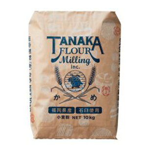 BY͕  ߓ 10kg (퉷) Ɩp