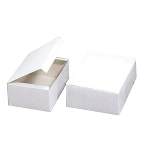 yΏہIőP10{IzKSJ[g  6 120×180×85mm 100(퉷) Ɩp