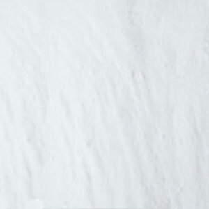 yΏہIőP10{Iz{ h[ibcVK[ 2kg (퉷) Ɩp