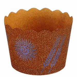 �}�t�B���J�b�v NP-6F���z�Ɣ� 100��(�퉷) �Ɩ��p