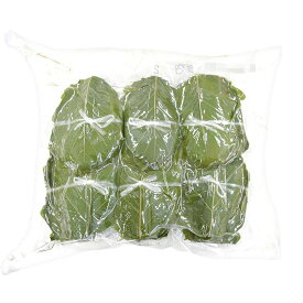 楽天市場 柏 葉の通販