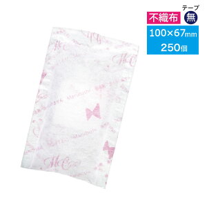(PB)丸菱 保冷剤 ミスタークール不織布 テープ無 40g 100×67mm 250個(常温) 業務用