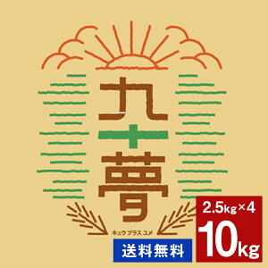 y4ZbgzەH Y͕  { 2.5kg×4 v10kg(퉷)()