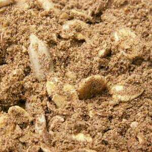 yΏہIőP10{Iz10Guh }`VAD25-S 10kg(퉷) Ɩp