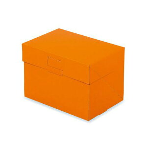 (お取り寄せ商品)中澤 ロックBOX105 ネーブル 3.5×5 (105×150×105mm) 50枚 A50620(常温) 業務用