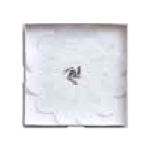 (񂹏i)V ONfR pC 5p [X() 25 ̂(퉷) Ɩp