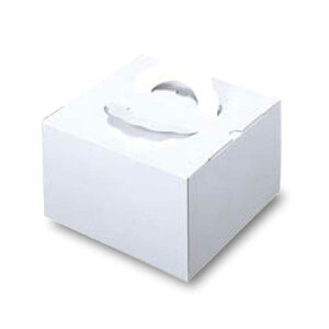 V TQfR(TD)n 4p H105 t^̂ 50(퉷) Ɩp