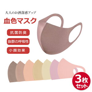 【クーポン利用で最大500円OFF 】マスク 冷感 夏用 血色 イェベマスク ブルべマスク 立体 3枚組 個包装 カラー