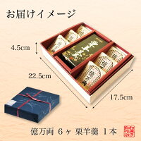 億万両羊羹セット(億万両6個羊羹1本)