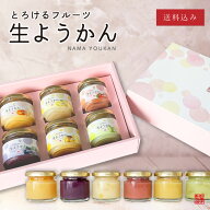 【瓶詰め生ようかん6瓶】新食感！なめらかフルーツ生ようかん6瓶セット│ 和菓子 お取り寄せ ようかん ギ…