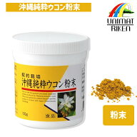 ＼ポイント10倍！／ユニマットリケン 沖縄純粋ウコン粉末 100g