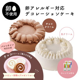 【チョコクリームご購入&レビュー投稿でプレゼントあり】卵アレルギー対応 デコレーションケーキ 生クリーム チョコレート ｜ アレルギー アレルギー対応 ケーキ アレルギー対応食品 卵 不使用 菓子 卵なし アレルギー対応ケーキ 卵アレルギー Egg Free スイーツ 誕生日