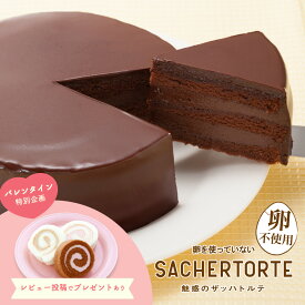 【レビュー投稿でプレゼントあり】卵を使っていない魅惑のザッハトルテ 卵アレルギー対応 ザッハトルテ チョコレート チョコケーキ アレルギー アレルギー対応ケーキ アレルギー対応食品 卵 不使用 ケーキ お菓子 スイーツ シュシュ 山口