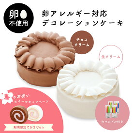 【3/15までプレゼントあり】卵アレルギー対応 デコレーションケーキ 生クリーム チョコレート ｜ アレルギー アレルギー対応 ケーキ アレルギー対応食品 卵 不使用 菓子 卵なし アレルギー対応ケーキ 卵アレルギー Egg Free バレンタイン