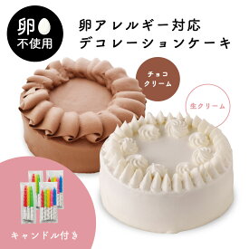 卵アレルギー対応 デコレーションケーキ 生クリーム チョコレート ｜ アレルギー アレルギー対応 ケーキ アレルギー対応食品 卵 不使用 菓子 卵なし アレルギー対応ケーキ 卵アレルギー Egg Free スイーツ 誕生日 プレゼント 贈り物 ギフト 手作りケーキ