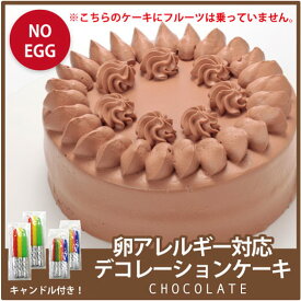 【アレルギー対応 チョコ デコレーションケーキ】アレルギー対応 デコレーションケーキ チョコレート 卵 アレルギー ケーキ アレルギー対応食品 卵 不使用 菓子 卵なし アレルギー対応ケーキ 卵アレルギー 手作りケーキ スイーツ