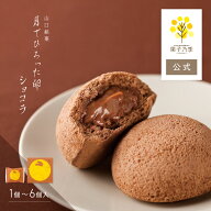 果子乃季 月でひろった卵 ショコラ 1個 4個入 6個入 お土産 和菓子 山口 つきたま お取り寄せ グルメ 食…