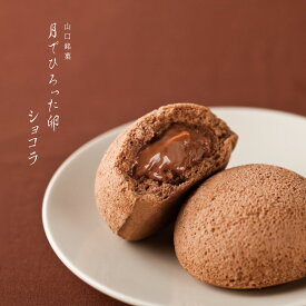 果子乃季 月でひろった卵 ショコラ 1個 お土産 和菓子 山口 つきたま お取り寄せ グルメ 食品 夏季限定 つきたま 月でひろった卵