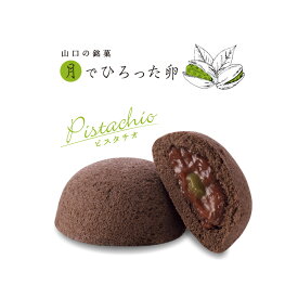 【秋冬限定】果子乃季 月でひろった卵 プレミアムショコラピスタチオ 1個 お土産 和菓子 山口 つきたま お取り寄せ グルメ 食品 季節限定 月でひろった卵 ショコラ ピスタチオ スイーツ