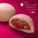 ホワイトデー ギフト かわいい お返し お菓子 チョコレート 子供 月でひろった卵 ラズベリーショコラ 3個入