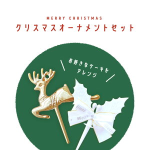 ʎqTG XmasfR[VI[igZbg 2025 NX}X P[L ~G ̂