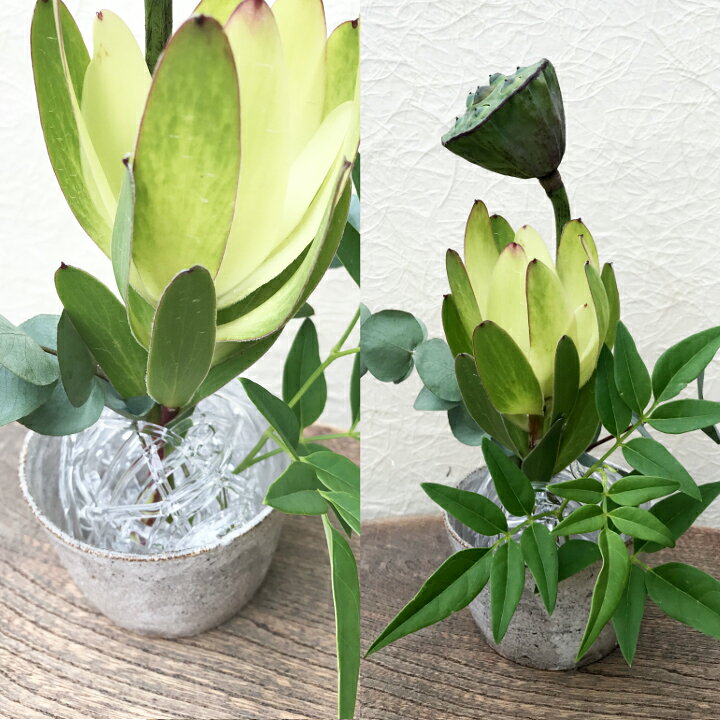 楽天市場 工房 Crafthouse おしゃれなガラスの剣山 花留め L クリア 作家の器と雑貨のお店 カシテュエ