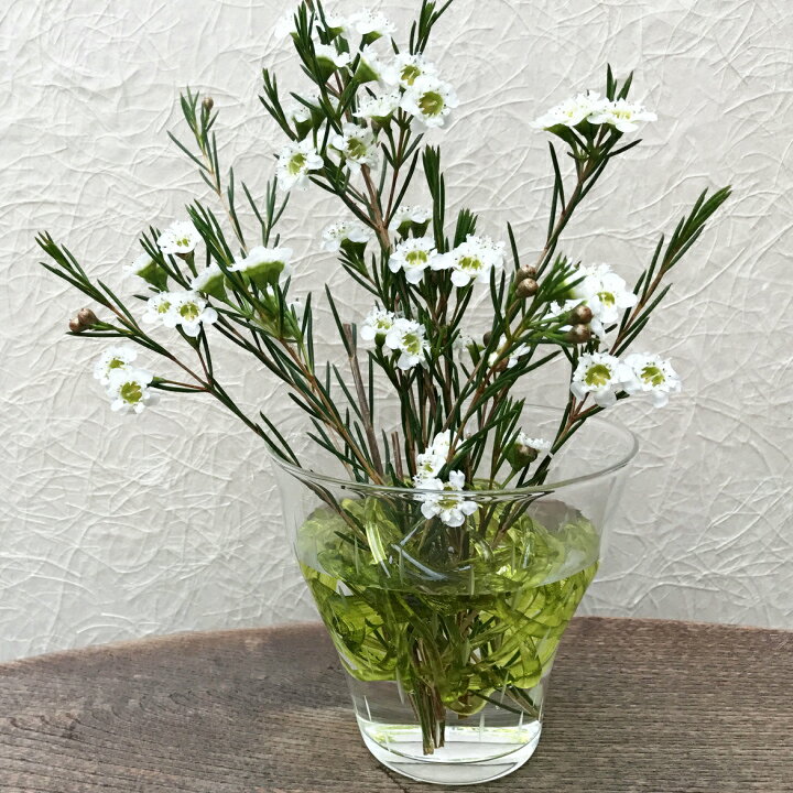 楽天市場 工房 Crafthouse おしゃれなガラスの剣山 花留め ｍ グリーン 作家の器と雑貨のお店 カシテュエ