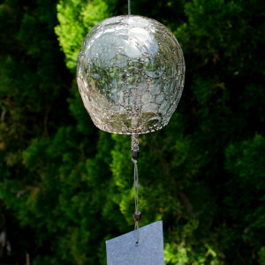  {F compound eye   KX