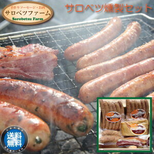 y  z Txct@[ \[Z[W  Zbg i5Pj `tNEEBi[Ex[REXyAuEs҂ɂɂ\[Z[W  ē Ă BBQ o[xL[ 