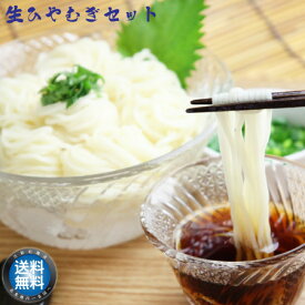 【 送料無料 】 感動喉ごし！ 生ひやむぎ セット (5袋入)　冷麦 ヒヤムギ お取り寄せ 産地直送 北海道 宗谷 稚内市 【 父の日 ファザーズデー 誕生日 プレゼント 内祝い ギフト グルメ 贈り物 】