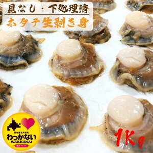 y  z kC @JY t̂ق g E VR  ق hotate hg BBQ o[xL[ Ⓚ Y kCY tY  y  䒆 a v[g 