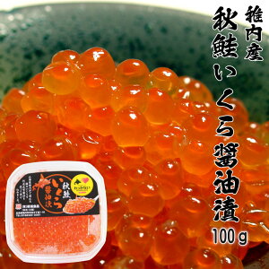 y tY z H  ݖ ` 100g@@CN ikura    傤 Ⓚ Y kCY tY @J  y  䒆 a v[g j Mtg O 