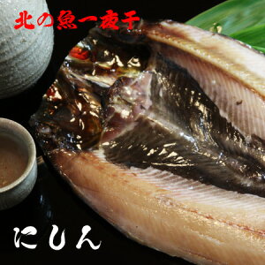 TCY jVJ 銱 ` 1@  ɂ   Ђ qm  ^pbN CN BBQ o[xL[   kC @J ts y  䒆 a v[