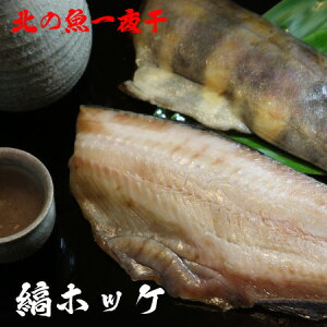 ȃzbP 銱 g 2@܂ق V}zbP @   Ђ qm  ^pbN CN BBQ o[xL[   kC @J ts y  䒆 a v