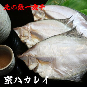 yTCYz @JC 銱 3 350g`400g@@ꂢ   Ђ qm  ^pbN CN BBQ o[xL[   kC @J ts y  䒆 a