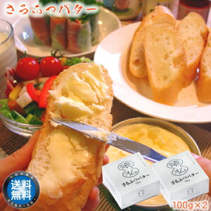 y  z ӂo^[ 100g ×2@n  Yn kC @J  y  䒆 a v[g j Mtg O 蕨 z