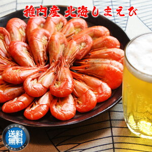 kC tY kC܂ 300g ~ 1500g {C ܊CV V}Gr kC @J ts y  䒆 a v[g j Mtg O 蕨 z