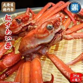 訳あり ベニズワイガニ 姿 紅ズワイ蟹 食べ放題 4尾入 3Kg セット 送料無料 カニ 蟹鍋 ずわいがに 殻付 ボイル済 浜ゆで 冷凍 国産 北海道産 稚内産 宗谷 お取り寄せ 【 お歳暮 御歳暮 誕生日 プレゼント 内祝い ギフト グルメ 贈り物 】