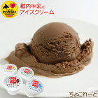 最北端より稚内牛乳の牧場　ちょこれーと　自慢の『稚内牛乳』を使用したとってもミルキーで自然風味豊かな無添加アイス♪　【 お歳暮 御歳暮 ギフト 】【楽ギフ_のし宛書】