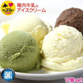 【 送料無料 】 稚内牛乳 アイスクリーム 12個 セット 無添加 ばにら バニラ ちょこ チョコ 熊笹 宗谷の塩 しお ノンホモ ミルキー あいす 牛 スイーツ お取り寄せ 産地直送 北海道 宗谷 稚内市 【 母の日 マザーズデー 誕生日 プレゼント 内祝い ギフト グルメ 贈り物 】