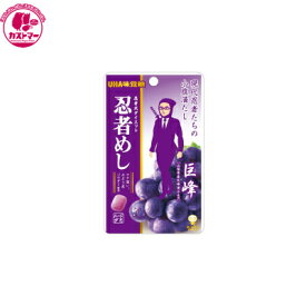 【忍者めし ぶどう　20g】　ユーハ味覚糖　　ひとつ　おかし　お菓子　おやつ　駄菓子　こども会　イベント　景品