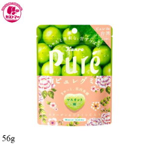 yH̖oSALEzysO~ }XJbg@56g@z@J@ЂƂ@@َq@@ʉَq@ǂ@Cxg@p[eB@ii@ԐH@XC[c@܂