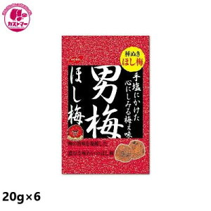 _15܂ł̊Ԍ!!XyVSALE^yj~ق~@20g×6@z@m[x@@َq@@ʉَq@ǂ@Cxg@p[eB@ii@܂Ƃߔ@l@ԐH@XC