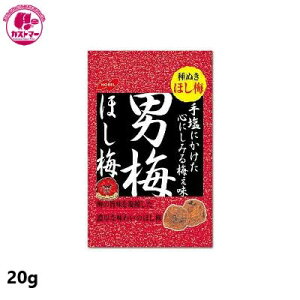 _15܂ł̊Ԍ!!XyVSALE^yj~ق~@20g@z@m[x ЂƂ@@َq@@ʉَq@ǂ@Cxg@p[eB@ii@ԐH@XC[c@܂