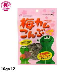 y~Jԁ@~@10g×12@z@cz@@َq@@ʉَq@ǂ@Cxg@p[eB@ii@܂